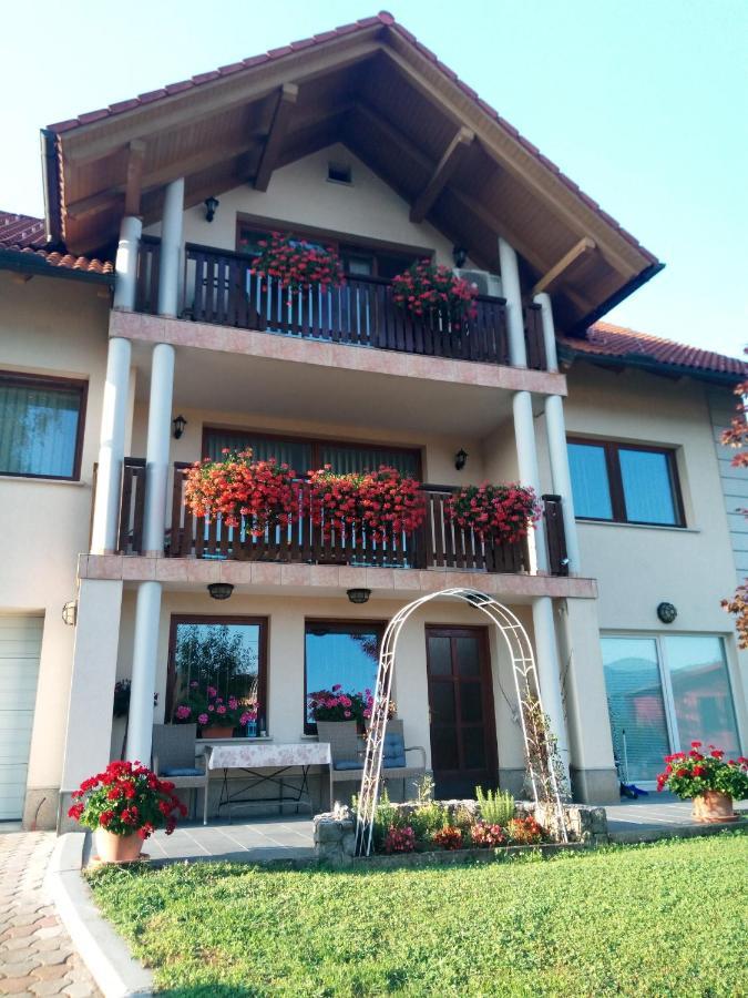 Dolenjska Vila Zuzemberk 外观 照片